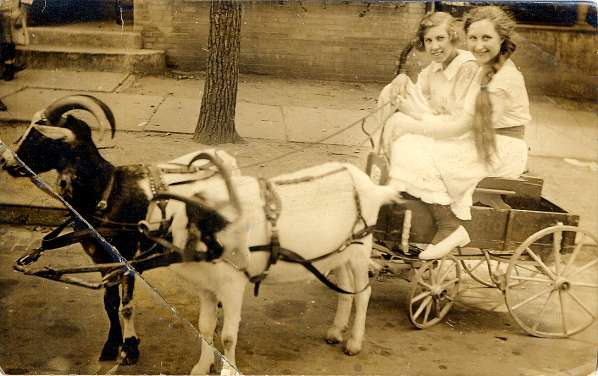 Two girls in a goat cart - early 1900s